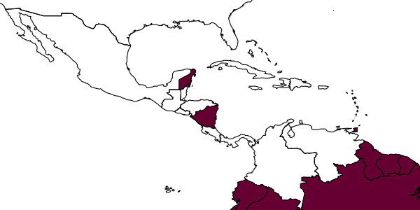 map of Anisepyris lobatus     Santos & Azevedo, 2000